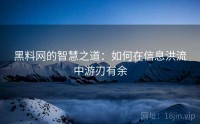 黑料网的智慧之道:如何在信息洪流中游刃有余