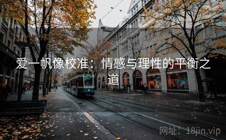 爱一帆像校准：情感与理性的平衡之道